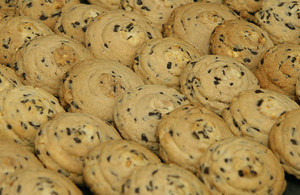 Pieguski