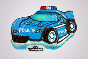Auto policyjne 
