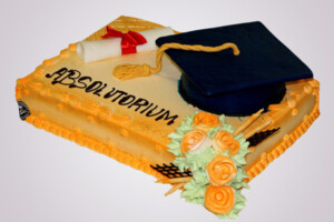 Absolutorium