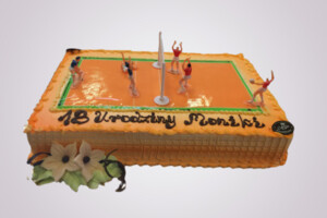 Tort dla siatkarza